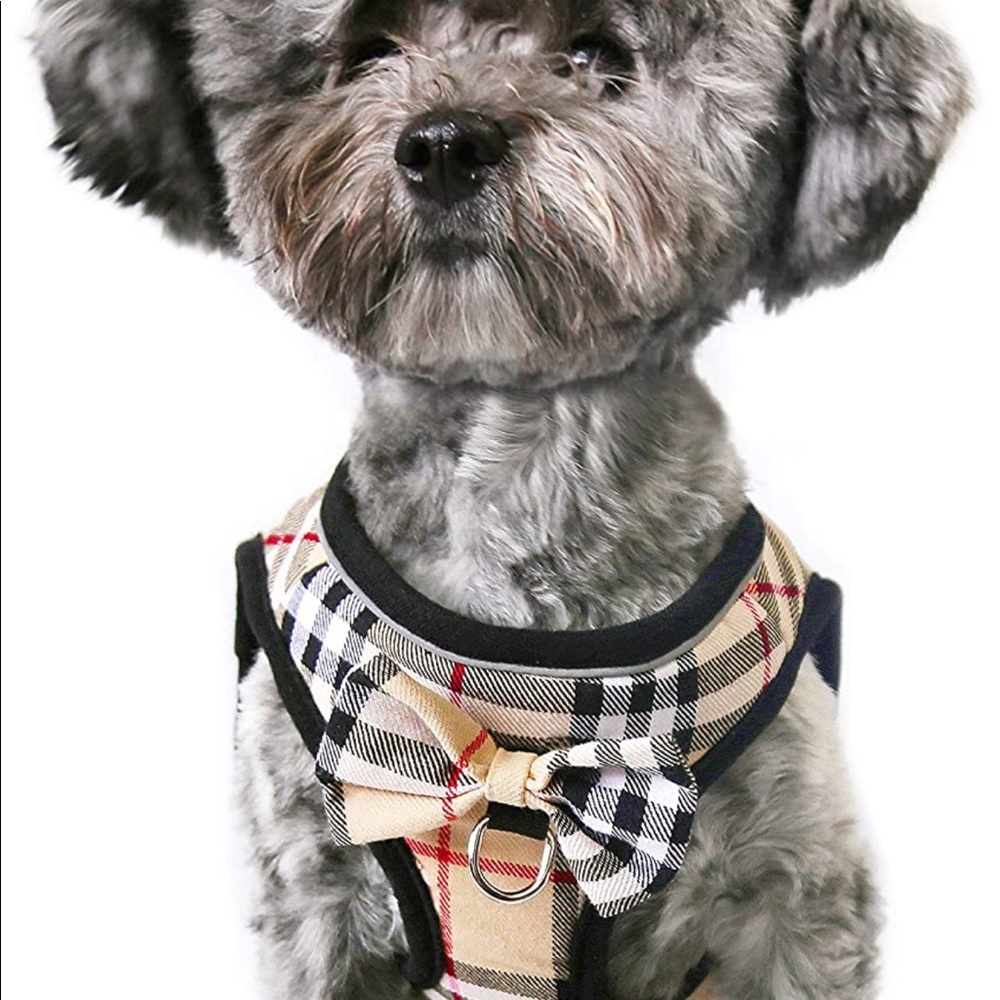 🥳HOSTPICK🥳Vest Dog Harness